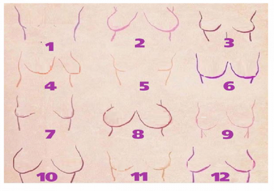 Ilustracija - &Scaron;ta va&scaron;e grudi govore o vama