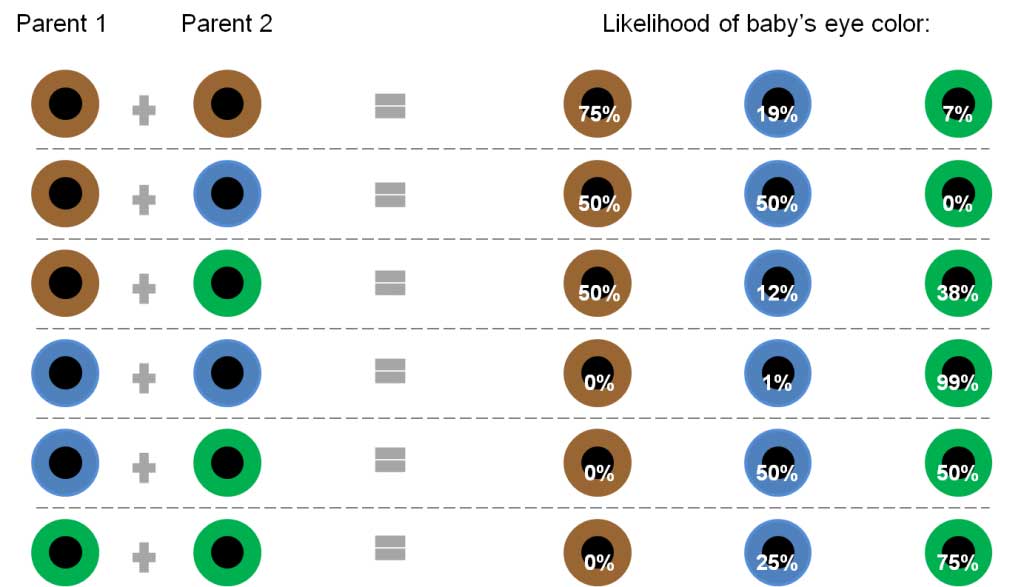 genetika-boje-ociju-beba.jpg - Koje boje će biti oči vaše bebe?