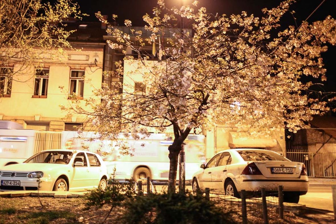 Proljeće Prelijepo kao u sevdalinci Sarajevo behara ti tvog