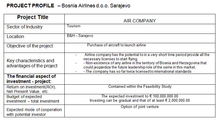 Bosnia_Airlines_Projekat_PrtScr.JPG - Traži se partner za novu bh. nacionalnu aviokompaniju