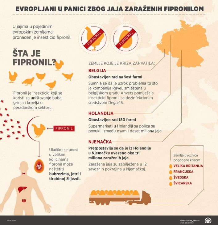 infografika_jaja_europa.jpg - undefined