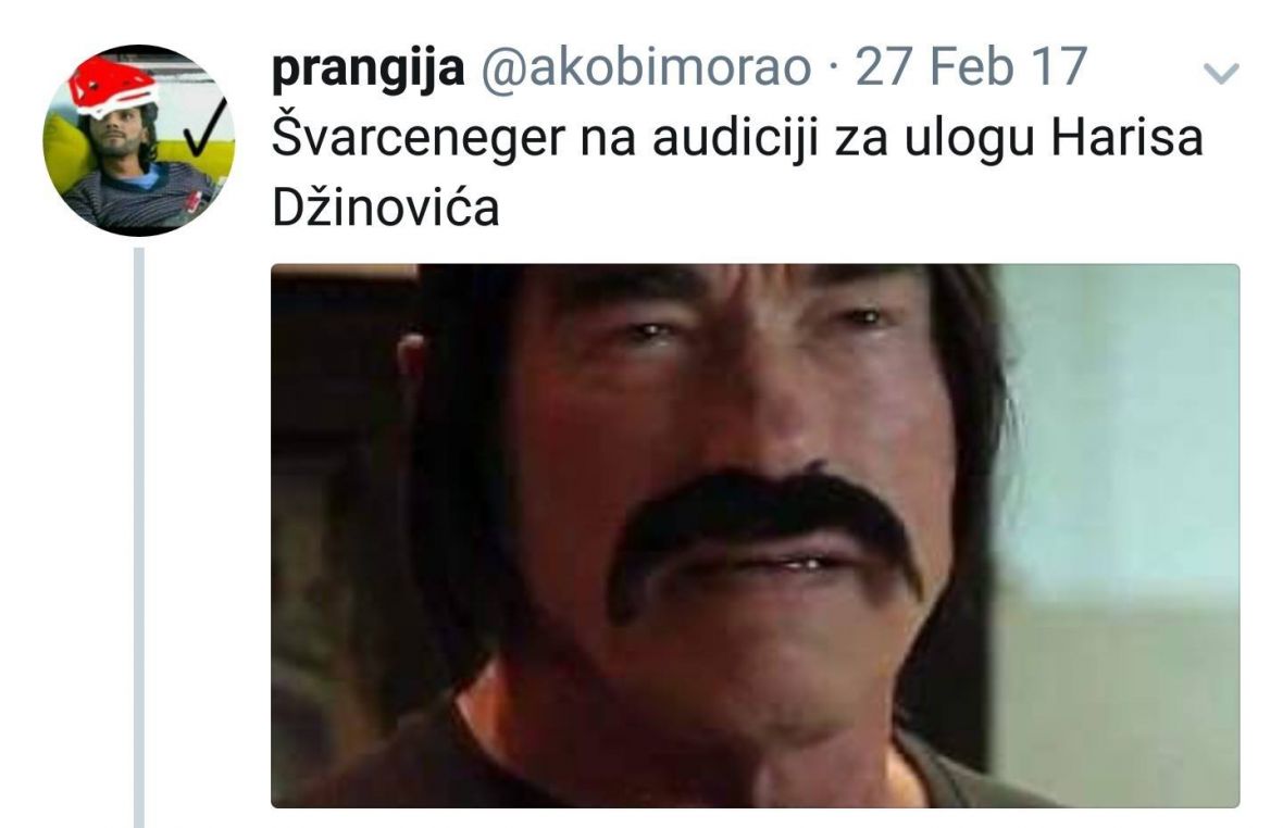 Svarceneger_Dzinovic_Forwardusha.jpg - undefined
