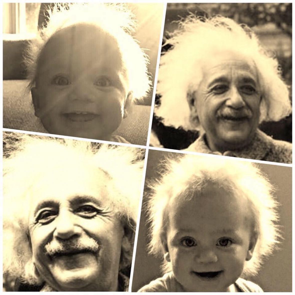 Baby Einstein - undefined