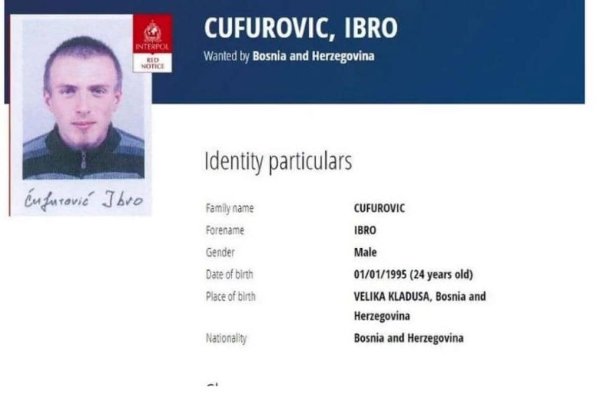 Ibro Ćurufović - undefined