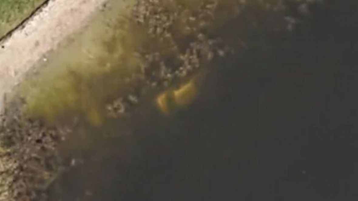 Automobil u vodi koji se vidi na Google Maps - undefined