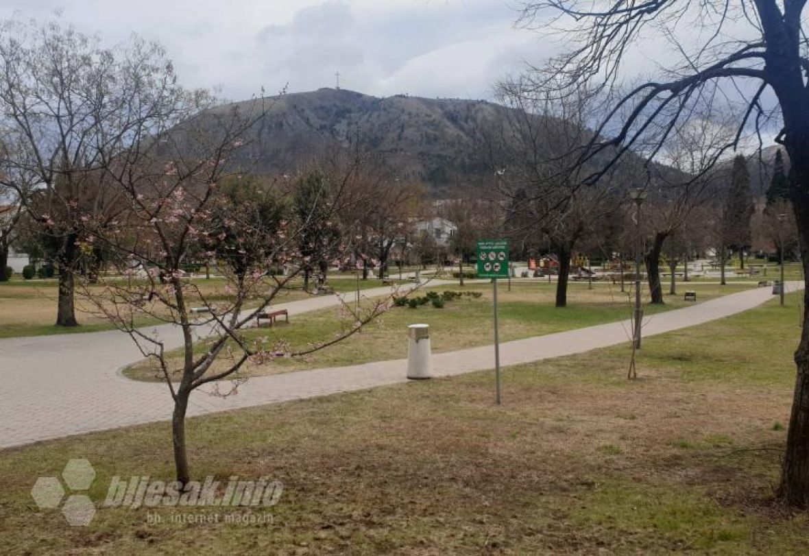 Procvjetala japanska trešnja u Mostaru - undefined