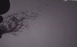 Naučnici zabilježili šta se dešava kada kihnete (VIDEO)