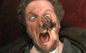 Muškarac se toliko borio protiv pauka da je intervenirala i policija