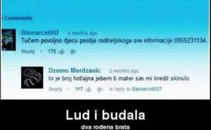 Lud i budala