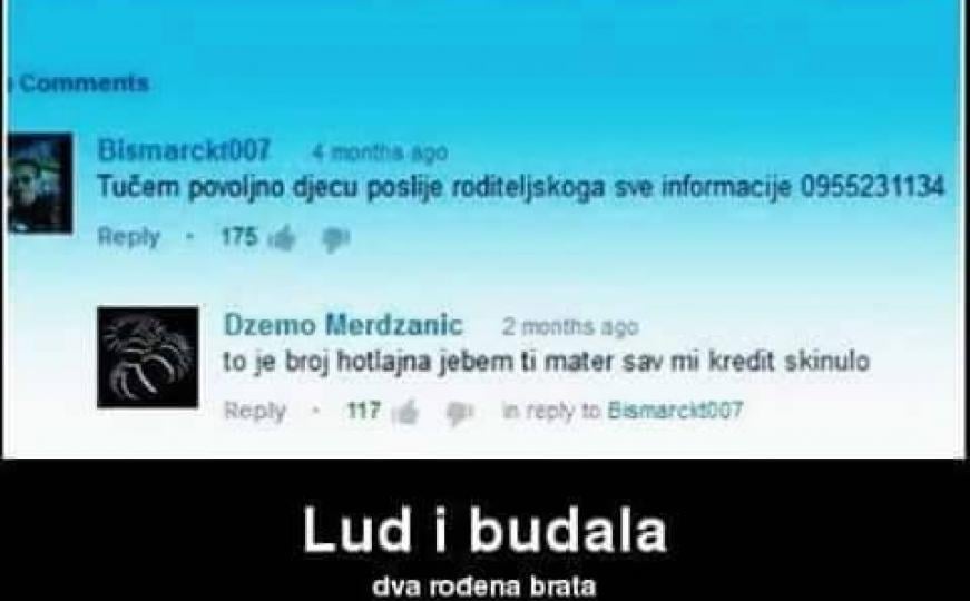 Lud i budala