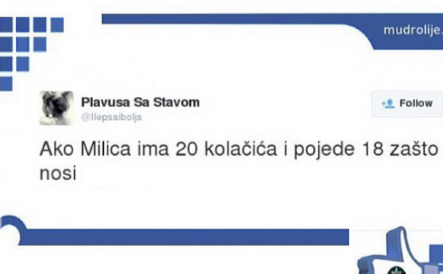 Zašto Milice?