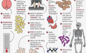 INFOGRAFIKA: Šta se dešava s našim tijelom nakon što umremo