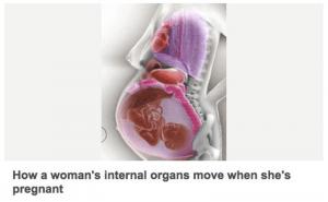 Da li ste se ikada zapitali kako žensko tijelo 'pravi' mjesto za bebu? (VIDEO)