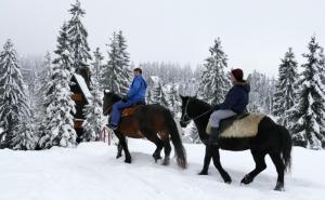 Skijaška sezona na Vlašiću: Snijeg, skijanje i konji (FOTO)