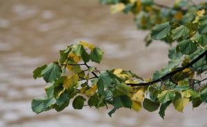 Riječ meteorologa: Kakvo nas vrijeme očekuje i kakvog ćemo biti raspoloženja