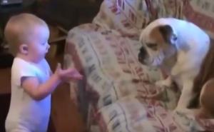 Slatkoće: Bebica ima ozbiljnu raspravu s jednim buldogom (VIDEO)