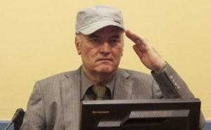 Svjedok Ratka Mladića: Srbi su htjeli svesrpsku državu, ali ne samo za Srbe...