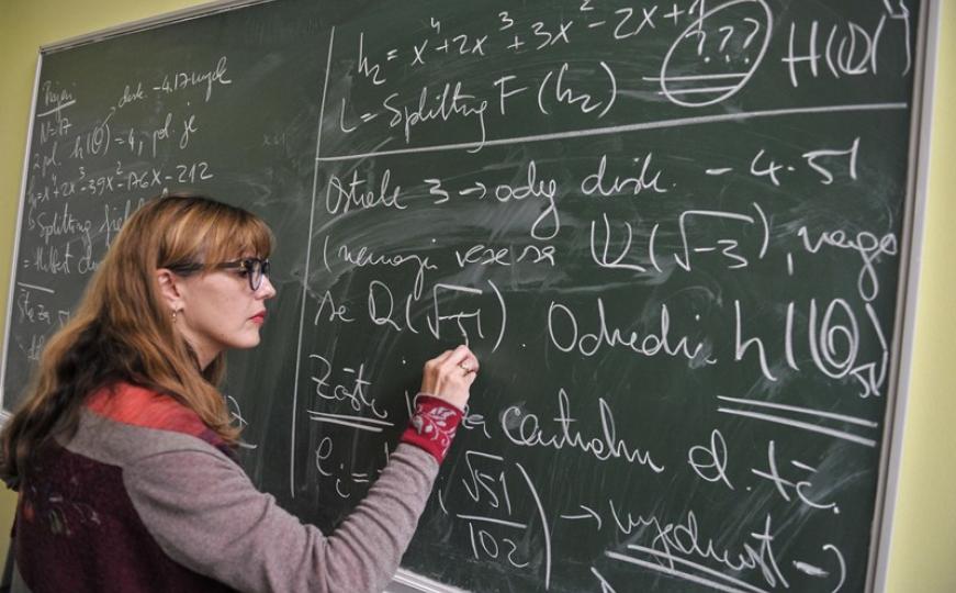 Genijalka iz komšiluka: Lejla Smajlović, urednica uglednog svjetskog časopisa o matematici (FOTO)
