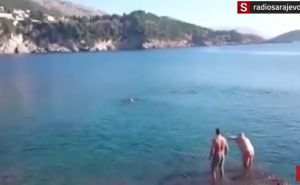 Vesele Sarajlije otvorile sezonu kupanja na Jadranu (VIDEO)