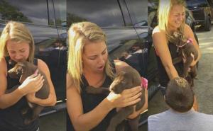 Ko bi njemu rekao 'ne': Prilikom prosidbe upotrijebio i slatkog psića (VIDEO)