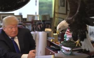 Američki simbol, bjeloglavi orao napao i isprepadao Donalda Trumpa (VIDEO)