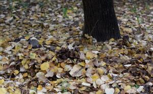 Vrijeme danas: Oblačno do kraja dana, temperatura oko 3 stepena 