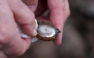 Srebreničanke obišle masovnu grobnicu u Kozluku: Lokaciju nam je odao čovjek iz Srbije (FOTO)