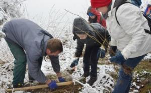 Podizanje okolišne svijesti građana: U parku šuma 'Hum' akcija pošumljavanja