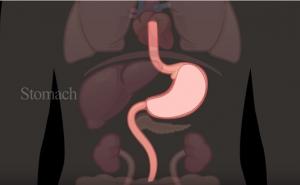 Četiri uznemirujuća znaka da vam je tijelo puno otrova