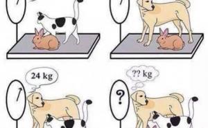 Možete li riješiti ovu mozgalicu?