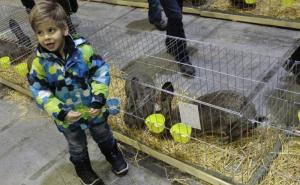 FOTO: Mališani oduševljeni izložbom ptica i životinja u Sarajevu