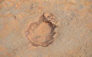 FOTO: Naučnici otkrili 100 otisaka stopala dinosaura