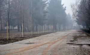 FOTO: Nova odrasla stabla i ukrasno grmlje u centru 'Safet Zajko'