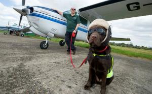 FOTO: Labrador koji je po 'zanimanju' pilot