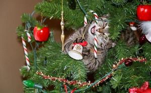 FOTO: Mace koje će vam pomoći da okitite novogodišnju jelku