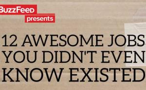 Čudni poslovi za koje niste znali da postoje: Dadilja za pande, kušač sladoleda... (VIDEO)