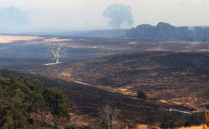 Toplotni val u Australiji: Više od 300 požara bjesni Victorijom