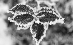 Kakvo će vrijeme biti za Novu godinu?
