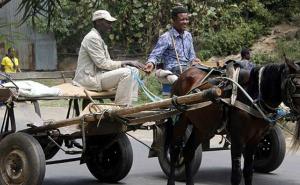 Etiopija: Tokom četiri sedmice ubijeno 80 demonstranata zbog vlasništva nad zemljom