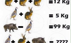 Mnogi ne znaju odgovor: Koliko su zajedno teški ptičica, zeko i vepar? 