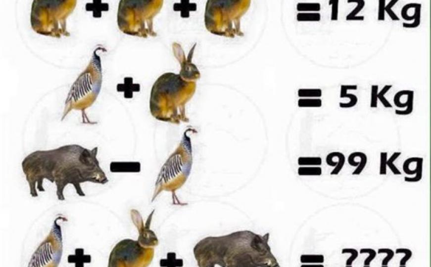 Mnogi ne znaju odgovor: Koliko su zajedno teški ptičica, zeko i vepar? 