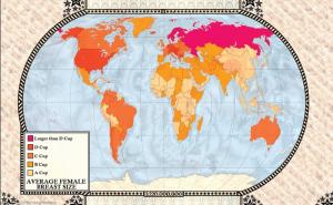 FOTO: U kojim zemljama žene imaju najveće grudi, a u kojim muškarci najmanji penis?