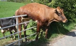 FOTO: Greške koje nikada nećete zaboraviti 