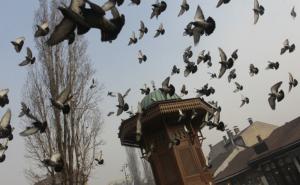 FOTO: Sarajevo kao da je prodisalo