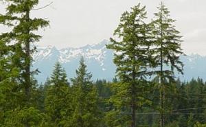 Rusija: Napadač otvorio vatru na grupu turista, poginula jedna osoba 