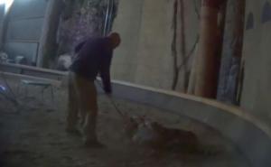 Najpoznatiji trener životinja u Hollywoodu snimljen kako muči tigra (VIDEO)