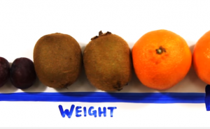 Šta sve (ne) znate o grudima (VIDEO)