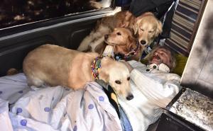 FOTO: Ostao bez posla, žene i kuće, pa novi život započeo u starom minibusu