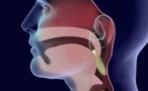 Šta se u organizmu dogodi kad progutamo žvakaću gumu (VIDEO)