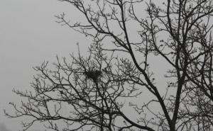 Riječ meteorologa: Kakvo nas vrijeme očekuje sutra?